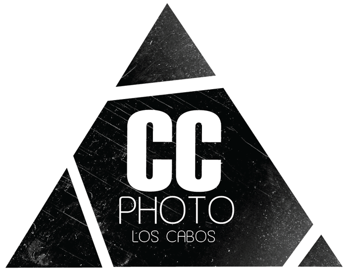 ccphotoloscabos, cabo wedding photographer